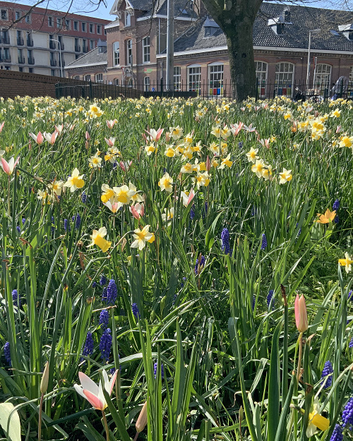 ZMES Kopenhagen, na 1m2 cca 200 ks