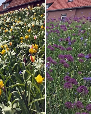 Zmes Moerdijk, na 1m2