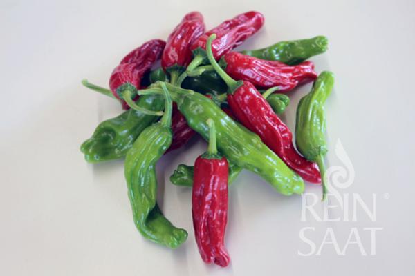 Paprika pálivá BIO na grilovanie Shishito cca 15 semien