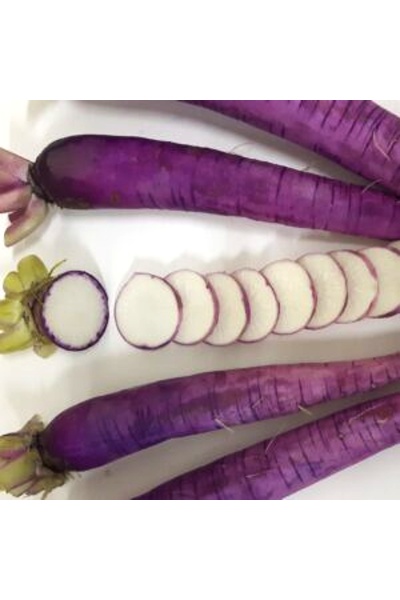 Reďkovka fialová WS1383 F1, 1000 semien