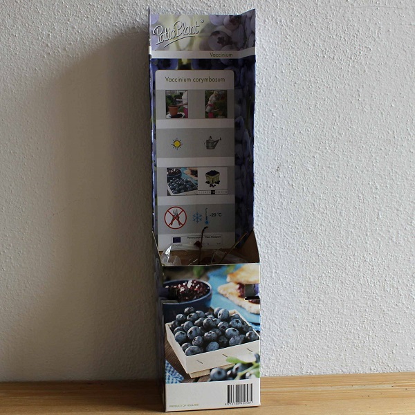 Čuoriedka Vaccinium corymbosum (Blueberry) 1 kus