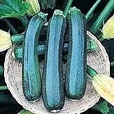 Cuketa Diamant F1 100 semien