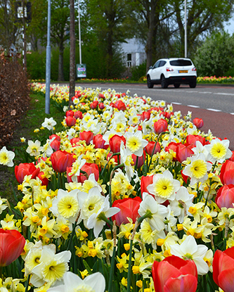 Zmes Liverpool, na 1m2