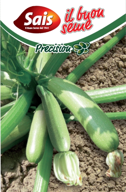 Cuketa Paloma F1 cca 40 semien