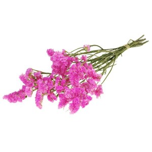 005640000.jpg