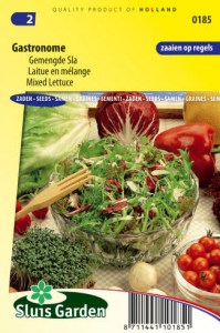 salat, zems salatov, semena salatu, semena zeleniny, zeleninove semena