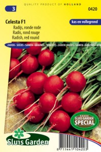 Redkovka cervená gulatá Celesta F1 semena zeleniny, zeleninove semena