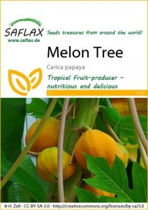 12327-carica-papaya-seed-package-front-cr-english