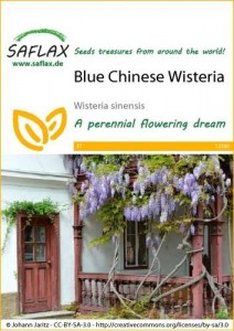 12360-wisteria-sinensis-seed-package-front-cr-english
