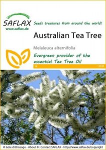 12928-melaleuca-alternifolia-seed-package-front-cr-english