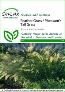 13309-stipa-calamagrostis-seed-package-front-cr-english
