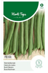 Semená fazula, krícková fazula, struková fazula, zelená fazula,