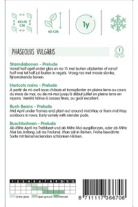 Semená fazula, krícková fazula, struková fazula, zelená fazula,