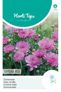 Semená kvetov, semená astra, Callistephus chinensis, Bambina Rose