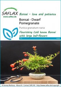 14350-punica-granatum-nana-seed-package-front-cr-english