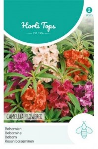 14375!560x560_500x500