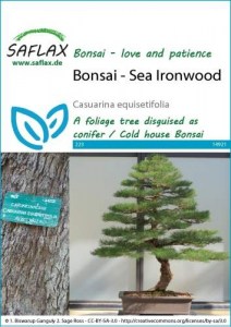 14921-casuarina-equisetifolia-seed-package-front-cr-english