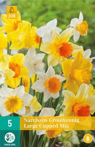 Large cup mix, narcis, narcisy, cibuloviny, kvety, cibulky kvetov