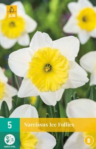 kvety, cibule kvetov, cibuloviny, kvetove cibulky, narcisy, narcis