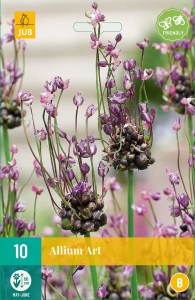 okrasny cesnak, Allium Art, cibuloviny, cibulky kvetov, kvety