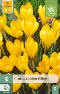 zlty vekokvety krokus, krokusy, golden yellow, cibuloviny, kvety,