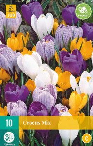 farebne krokusy, krokusky, cibuloviny, kvety, krokus,