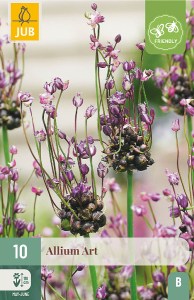 okrasny cesnak, Allium Art, cibuloviny, cibulky kvetov, kvety