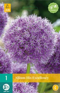 cibule kvetov, Cibuloviny, Okrasný Cesnak, Allium His Excellency