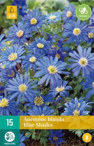 Cibuloviny, Veternica, Anemone blanda Blue Shades