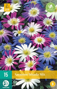 Cibuloviny, Veternica, Anemone blanda Mix