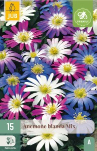 Cibuloviny, Veternica, Anemone blanda Mix