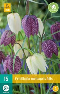 Cibuloviny, Cibule korunovky, Fritillaria meleagris mix