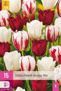 cibuloviny, tulipan, cibule kvetov, cibulky kvetov, cibulky tulipanov