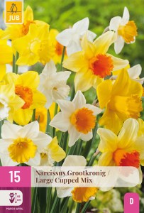Narcis, Large Cup Mix, narcisy, kvety, cibuloviny, 