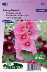 Alcea ficifolia, topolovka, semena kvetov