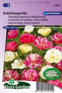 Eschscholzia californica, slncovka kalifornská, zmes kvetov, malé kvietky, semená kvetov