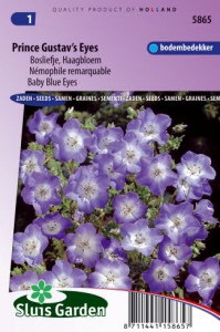 nemophal kvety semena zeleniny kvetov bylinky sadit pestovat rajcin paprika uhoriek bazalka