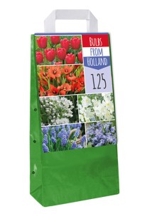 kvety pre vcely, zmes cibulovín, jarné kvety, cibuloviny, 