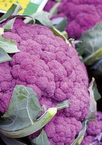 Ko057_Di_Sicilia_Violetto_web_6008