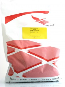 middle_east_giant_1kg