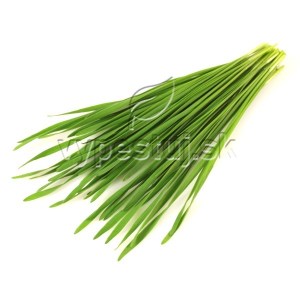 psenica7