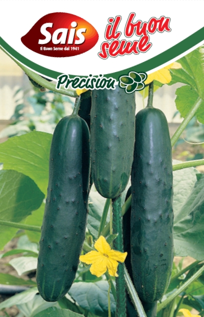 salatove uhorky, semena uhoriek, sagro uhorky, 