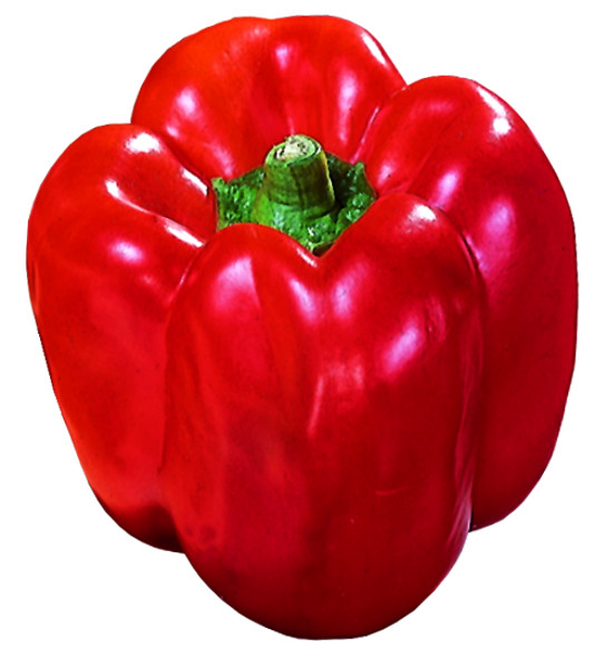 Paprika sladká Savio F1 50 semien 