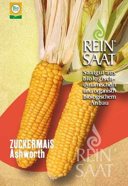 bio kukurica, bio semená kukurice, kukurica ashworth, reinsaat kukuruca, cukrová kukurica, bio semená, 